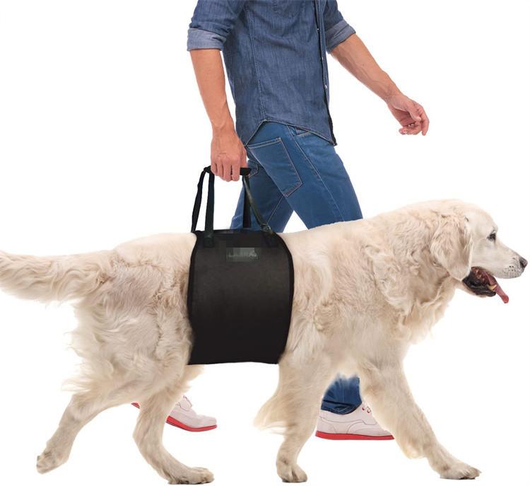 犬用かばい立て馬具 犬用介護馬具 持ちはこぶ かばい立て三尺帯 御拾いかばい立て ほっつき歩く用 お出かけ用 オックスフォード布 黒いこと(x100)
