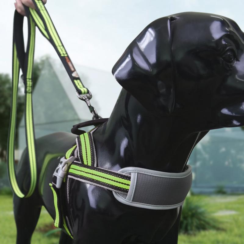 首輪 リード 小型犬用 ハーネス 胴輪 大型犬用 ナイロン 夜光 蛍光グリーン オレンジレッド レッド ライトグレー XS S M L XL(x20)