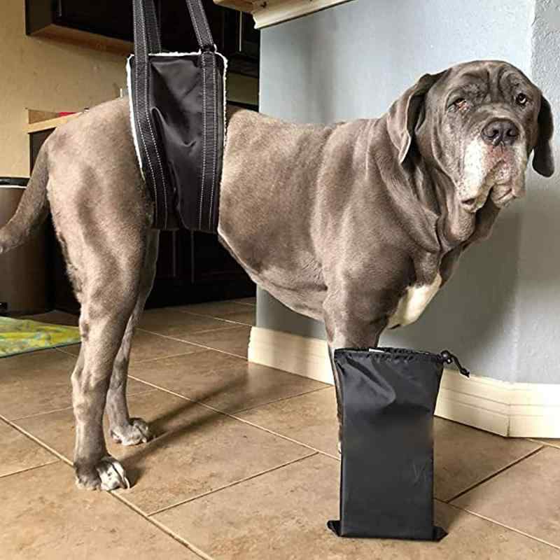 犬用馬具 持ちはこぶ型 かばい立て 土手っ腹 受け支える 社会復帰用 胴輪 小型犬 中型犬 大型犬 ナイロン製 黒いこと(x100)