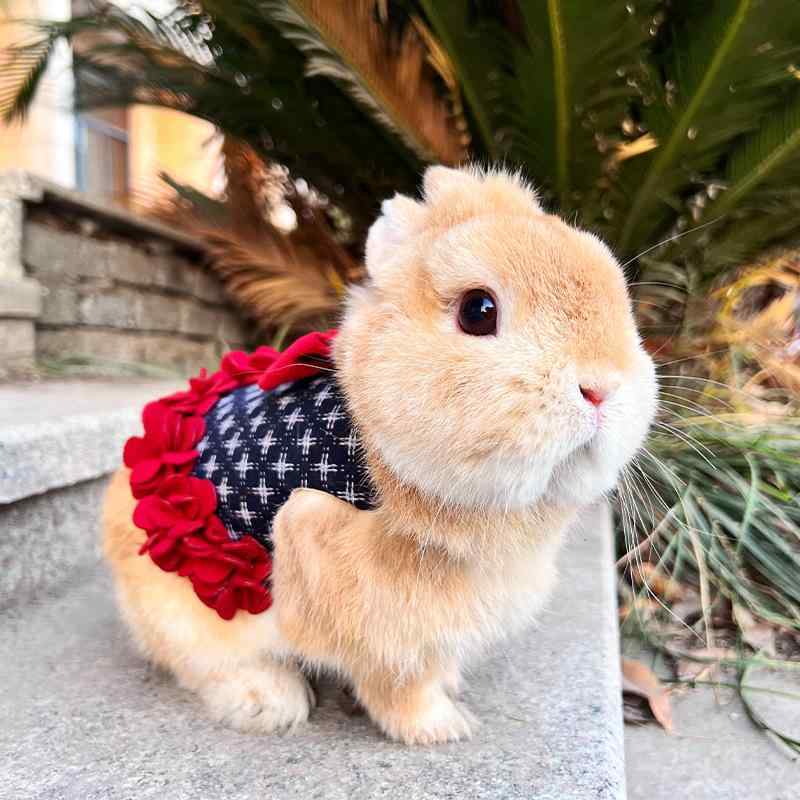 ハーネス ウサギ用 パール 花びら スカート ドッグウェア リード 小型犬 猫 暖かい 胸当て ベスト 胴輪 ネザーランドドワーフ ホーランドロップ(x5)