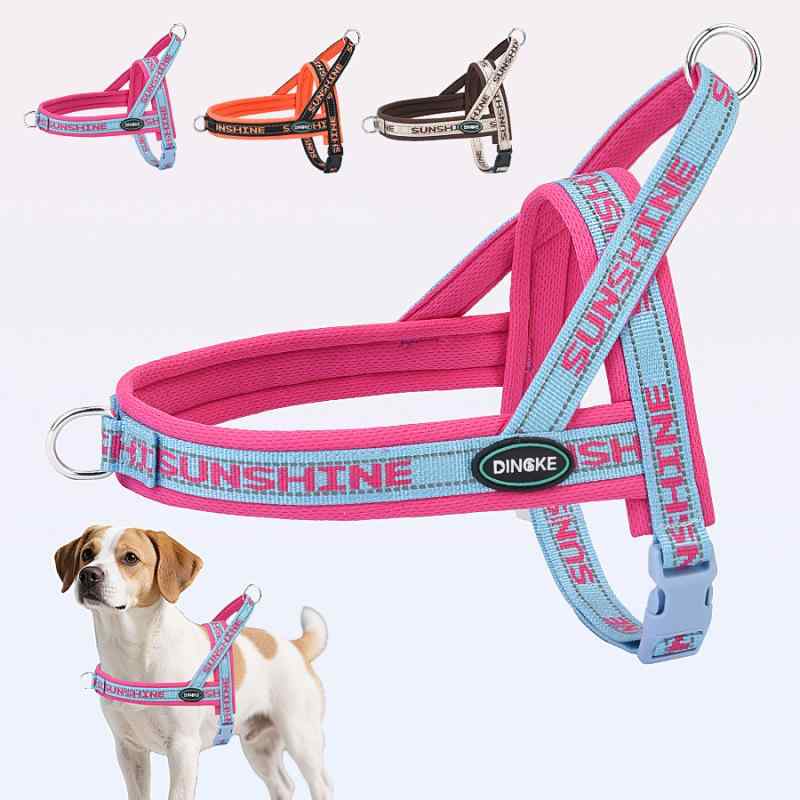 犬用馬具 先んじる 胴輪 愛玩動物用 小型犬 中型犬 ポリエステル ほっつき歩く お出かけ 深青 橙 赤銅色 サクラ色赤いこと(x5)