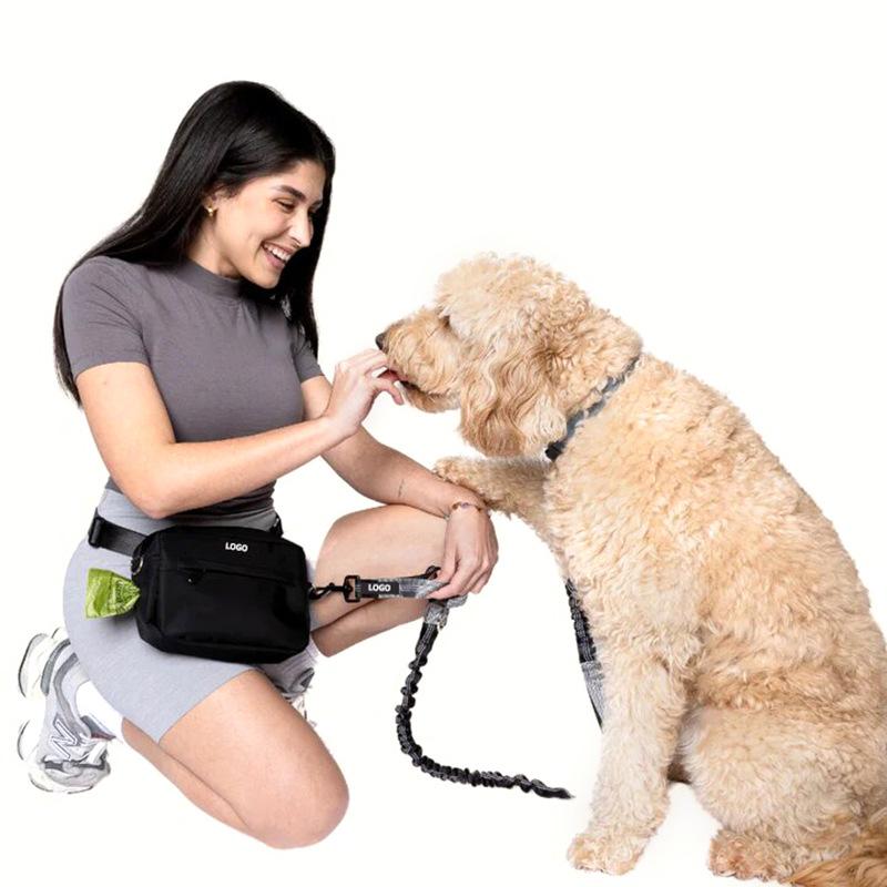 愛玩動物装置 犬用 引っ張ること索条 伸縮能力のある ナイロン製 愛玩動物用先んじる 馬具 米白 黒 おほっつき歩く お出かけ(x100)