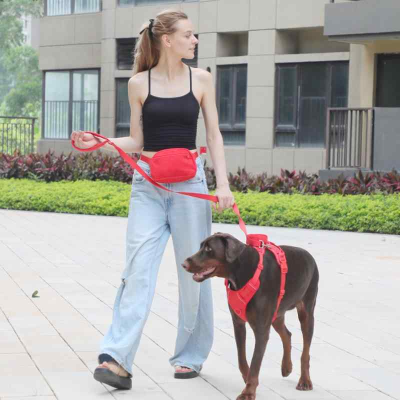 犬用品 首輪 胴輪 牽引ロープ セット コーデュロイ 犬用 ペット 散歩用 ハーネス 赤 S M L XL(x10)