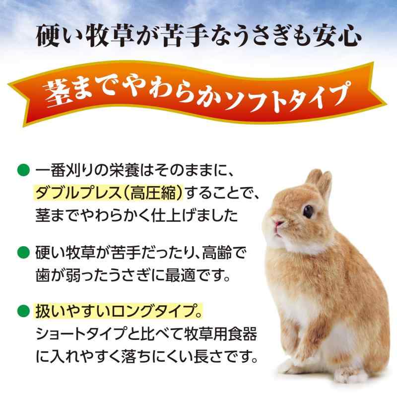 ジェックス おいしいチモシー ソフト