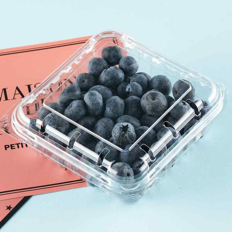 食品用 包装ボックス PET製 透明 フタ付き フルーツ 容器 ブルーベリー 食品