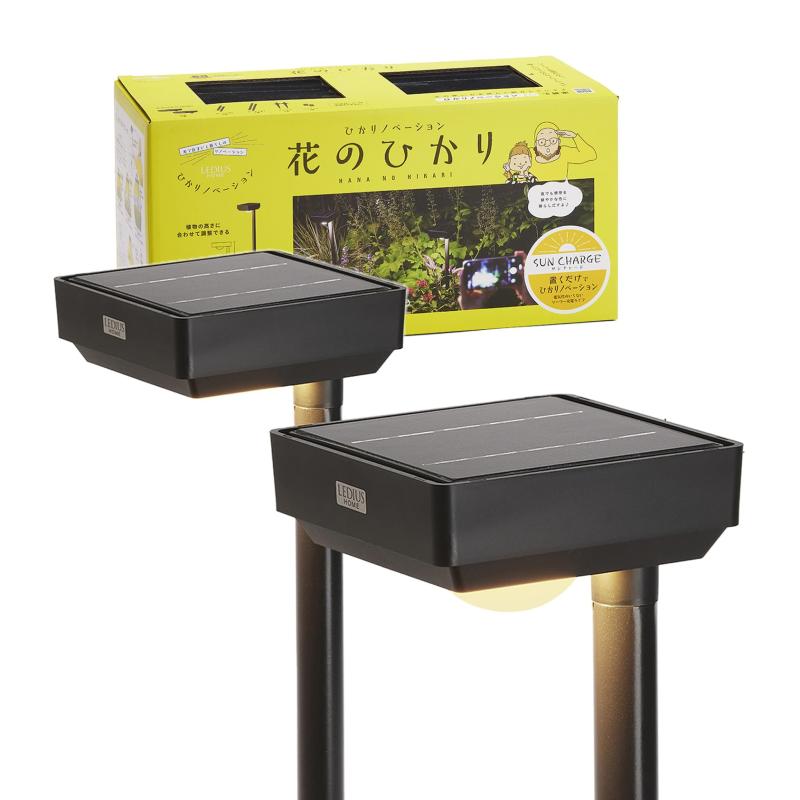 鷹見世物 ひかりノベーション 続きもの