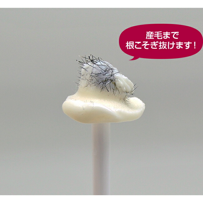 楽天市場 送料無料 アイビル サボテンノーズワックス導入セット スティックを50本さらにおまけ すべて日本製 ワールドボルテージ 鼻毛脱毛 除毛 鼻毛ケア サボテン やみつき Iwc 鼻毛カッター不要 男女 セルフ脱毛 Dtm Sale 総合卸ヨシムラ