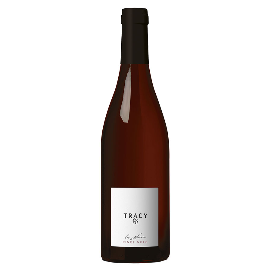 シャトー ド トラシィ レ マルヌ ピノ ノワール 750ml x 12本[ケース販売] 送料無料(本州のみ) [AC フランス ロワール 赤ワイン ミディアムボディ 13度 07321123]｜ハードリカー　店