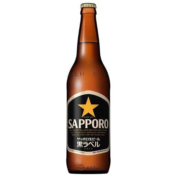 サッポロ 生ビール黒ラベル 大瓶 633ml x 20本 [サッポロビール ビール ALC 5% 国産]【ギフト不可】ギフト プレゼント 贈り物 お祝い 内祝い お返し 誕生日プレゼント 父の日 敬老の日