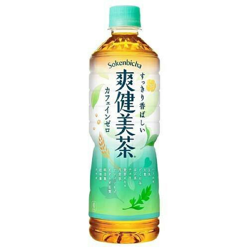 楽天市場】【2ケース販売】伊藤園 天然ミネラル麦茶 [PET] 600ml x 48本 [2ケース販売] 送料無料(本州のみ) [伊藤園 お茶 飲料]  : ハードリカー2号店 楽天市場店