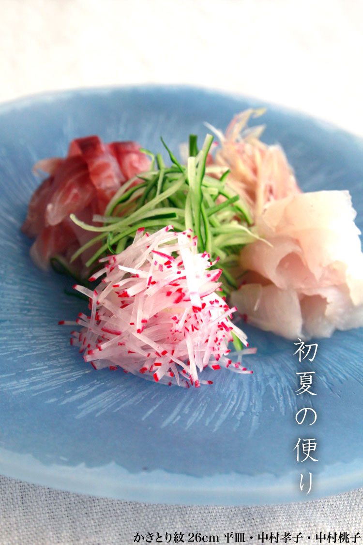 楽天市場 ガラス かきとり紋26cm平皿 ブルー D Tam 大皿 25 5cm 和食器の愉しみ 工芸店ようび 楽天市場 ガラス かきとり紋26cm平皿 ブルー D Tam 大皿 25 5cm 和食器の愉しみ 工芸店ようび