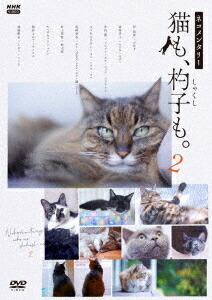 楽天市場】DVD おまかせ！みらくるキャット団 Vol.2 ※ご注文後一