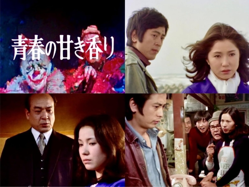 【おまけCL付】新品 青春の甘き香り コレクターズDVD (HDリマスター版)【昭和の名作ライブラリー 第165集】 / (5DVD) BFTD543｜ヨコレコ　店