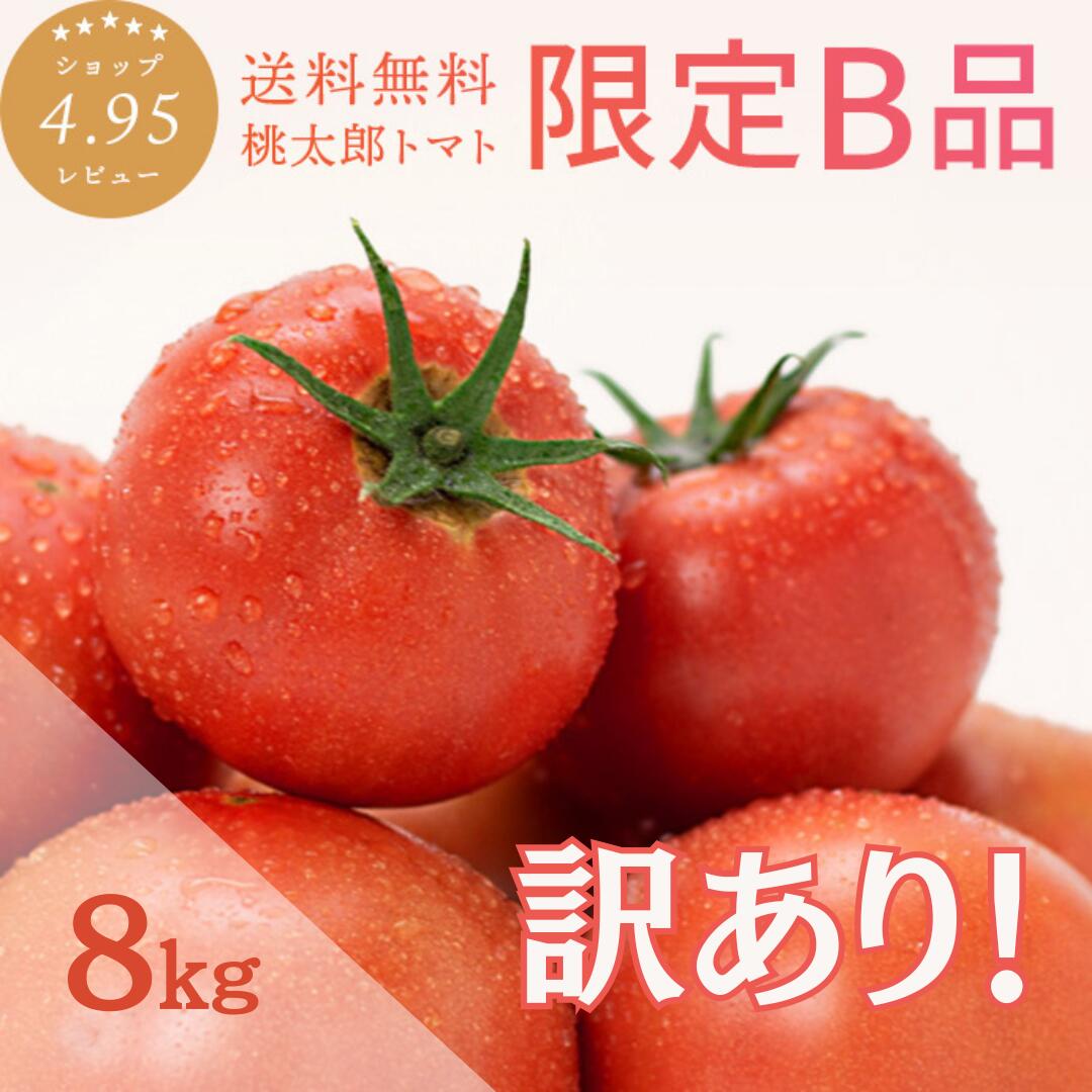 ＼楽天ランキング受賞！／山梨桃太郎トマト約8kg B品 味はA品と変わりなし！ご家庭用 簡易梱包 送料無料 安心安全 農家直送 ハウス桃太郎トマト 樹上完熟 トマトランキング1位 ジュース ピューレ ソース ペースト おうち時間 あす楽