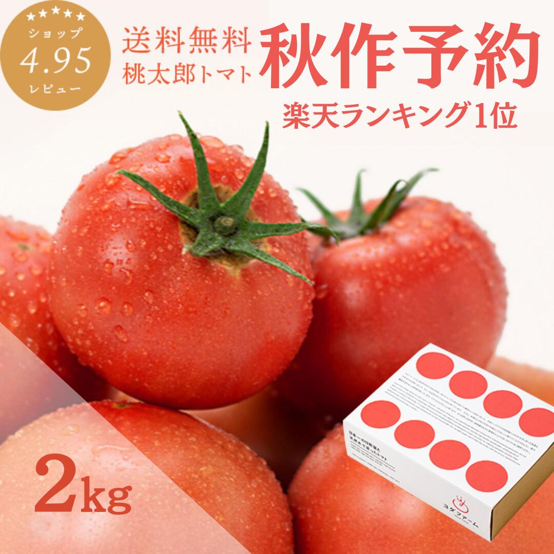 楽天市場】＼11月頃発送 大特価！訳あり！山梨桃太郎トマト／ トマト約8kg B品 味はA品と変わりなし！ご家庭用 簡易梱包 送料無料 安心安全  農家直送 ハウス桃太郎トマト 樹上完熟 トマトランキング1位 ジュース ピューレ ソース ペースト おうち時間 あす楽 ...