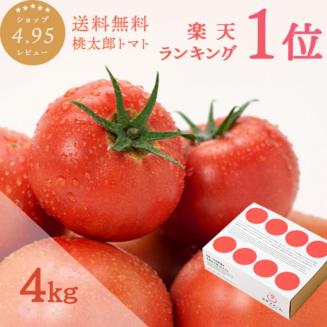 【5/23(金)20時～P10倍】＼山梨桃太郎トマト 4kg／ ギフト 送料無料 おまけ付き プレゼント 箱入り 安心安全 農家直送 ヨダファーム 樹上完熟  贈答用 ラッピング ジュース ピューレ ソース ペースト お取り寄せ あす楽 tomato