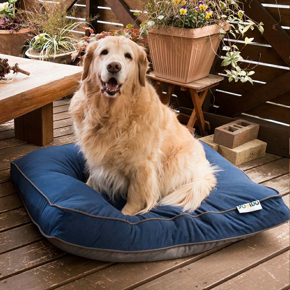 10%OFF]Doggybo Midi / ヨギボー ドギボー ミディ 約88cm×67cm【Yogibo