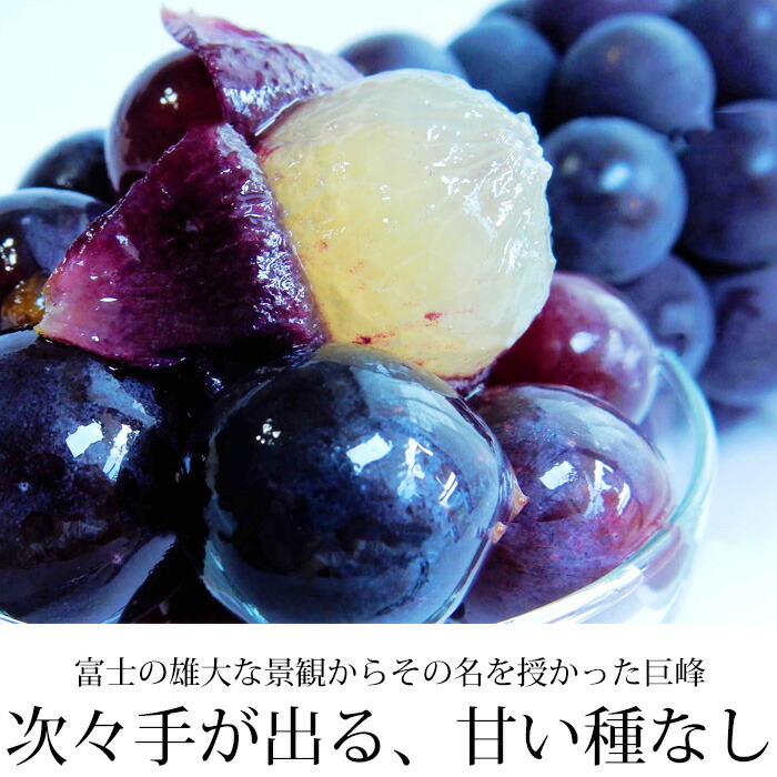 ぶどう 種なし 巨峰 種無し Jaフルーツ山梨 送料無料 きょほう 約600g 1房 露地栽培 山梨県産 産地直送 ぶどう 種なし 巨峰 種無し Jaフルーツ山梨 送料無料 きょほう 約600g 1房 露地栽培 山梨県産 産地直送
