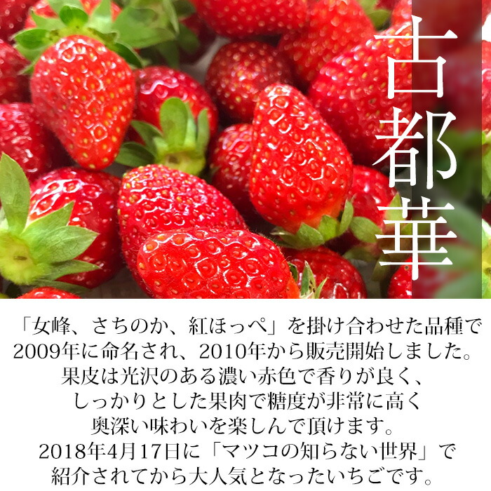 いちご 三色いちご（パールホワイト・淡雪・古都華） 金色玉手箱 3種類 