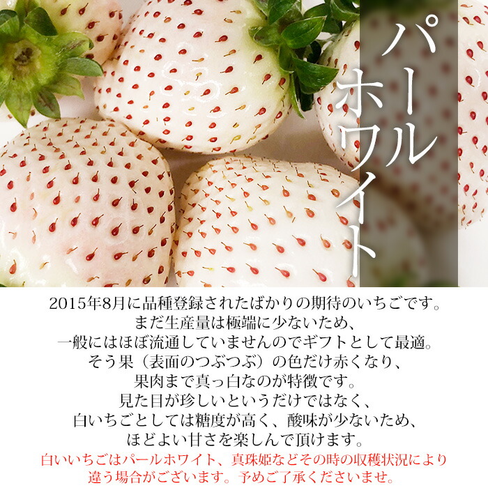 いちご 三色いちご（パールホワイト・淡雪・古都華） 金色玉手箱 3種類 