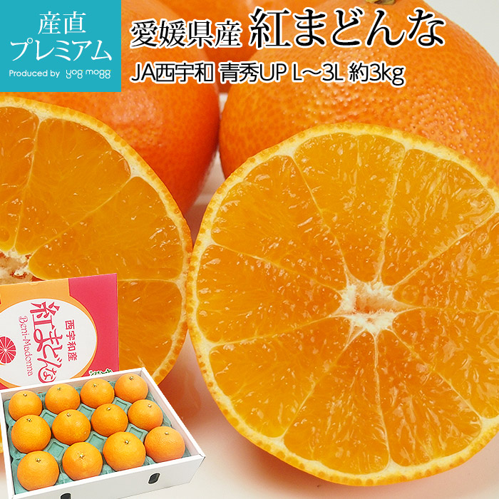 みかん 紅まどんな 青秀アップ 約3kg L～3Lサイズ 10～15玉 化粧箱入