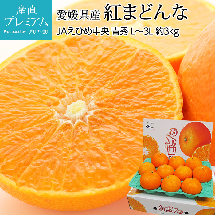 みかん 紅まどんな 青秀アップ 約3kg L～3Lサイズ 10～15玉 化粧箱入 愛媛県産, 【紅マドンナ ミカン 蜜柑 箱買い 甘い かんきつ  愛媛県 愛媛産 お取り寄せ フルーツ 果物 ギフト 贈答 プレゼント 内祝い】【産直プレミアム】-産直プレミアム　本店 Produced by