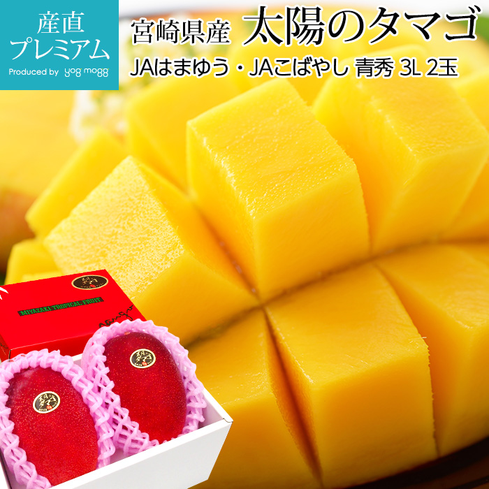 宮崎産 完熟マンゴー 10個 3.9kg - 果物