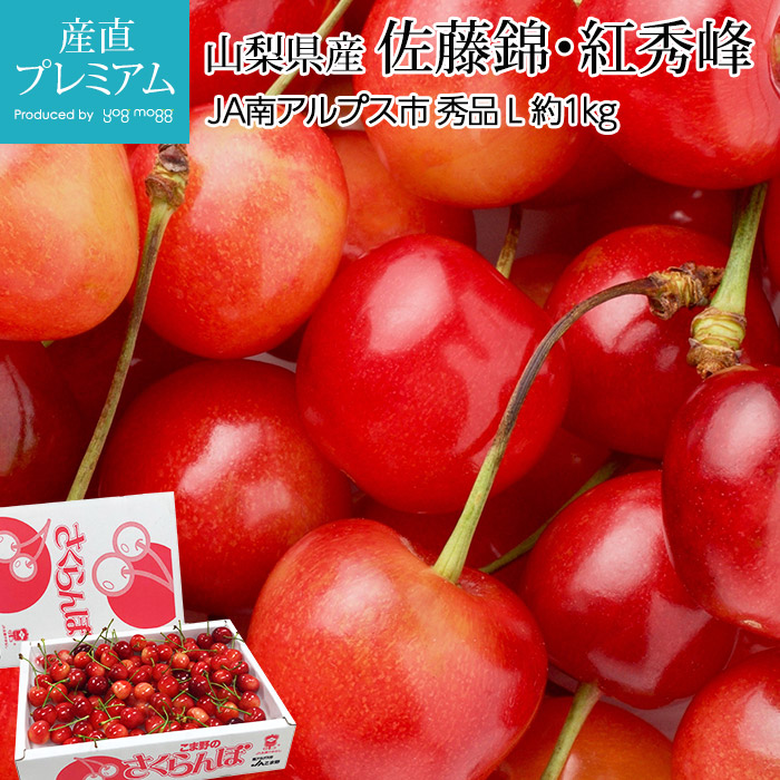 さくらんぼ 佐藤錦 紅秀峰 秀品 Lサイズ 約1kg 山梨県産 サクランボ さとうにしき べにしゅうほう 山梨 お取り寄せ フルーツ 果物 ギフト 贈答 プレゼント 内祝い 出産祝い 産直プレミアム