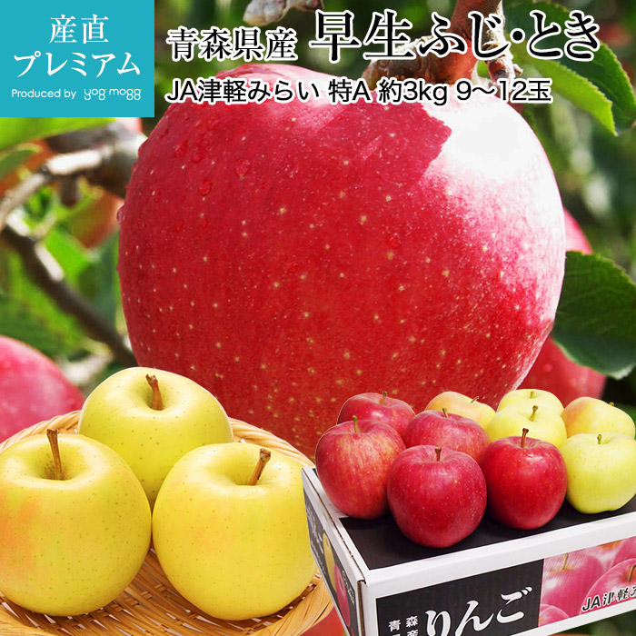 楽天市場】りんご JAふくしま未来のりんご 約3kg 約8〜10玉 JAふくしま未来 福島県産 送料無料 産地直送 【リンゴ 林檎 さんふじ サンフジ  ようこう ヨウコウ しなのすいーと お取り寄せ フルーツ 果物 ギフト プレゼント 内祝い】【産直プレミアム】 : 産直プレミアム