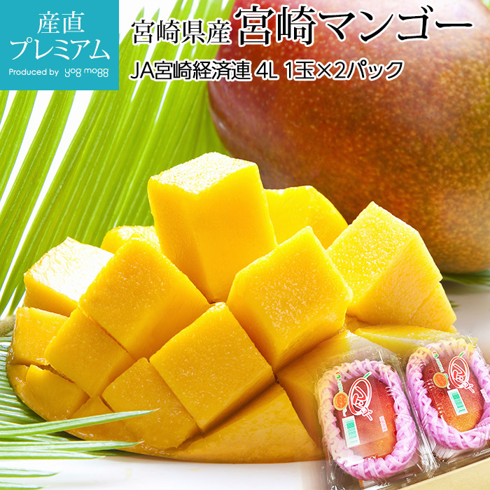 最大56％オフ！ 完熟マンゴー Ｌサイズ２玉 宮崎県産 農協 JA 食べきり
