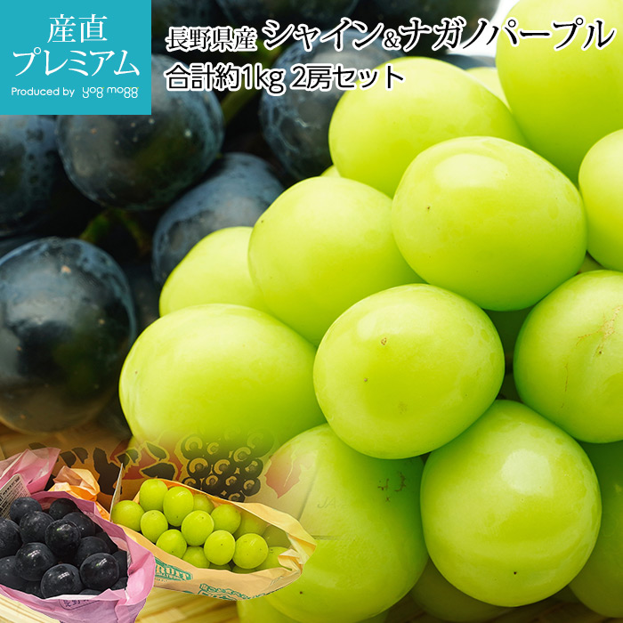 長野県産　　高級ブドウ　ナガノパープル　2房セット