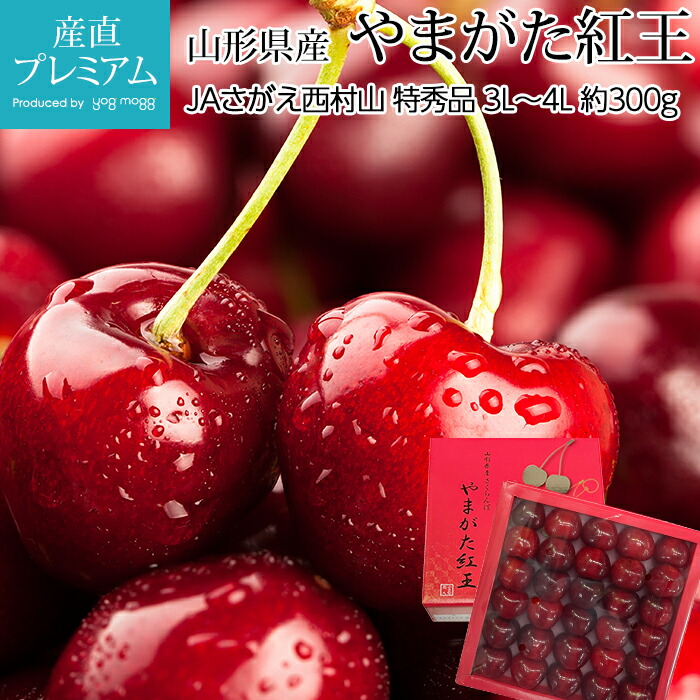 【マラソン限定店内全品P2倍】 さくらんぼ やまがた紅王 特秀品 3L～4Lサイズ 約300g 山形県産 サクランボ やまがたべにおう べにおう ベニオウ お取り寄せ フルーツ 果物 ギフト 贈答 プレゼント 産直プレミアム