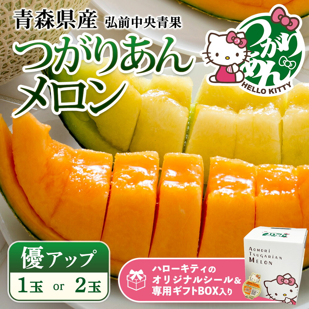 2ケースセット　静岡　アールスメロン 7月5日までご予約受付】静岡 アールスメロン Mサイズ 2玉セット【7月