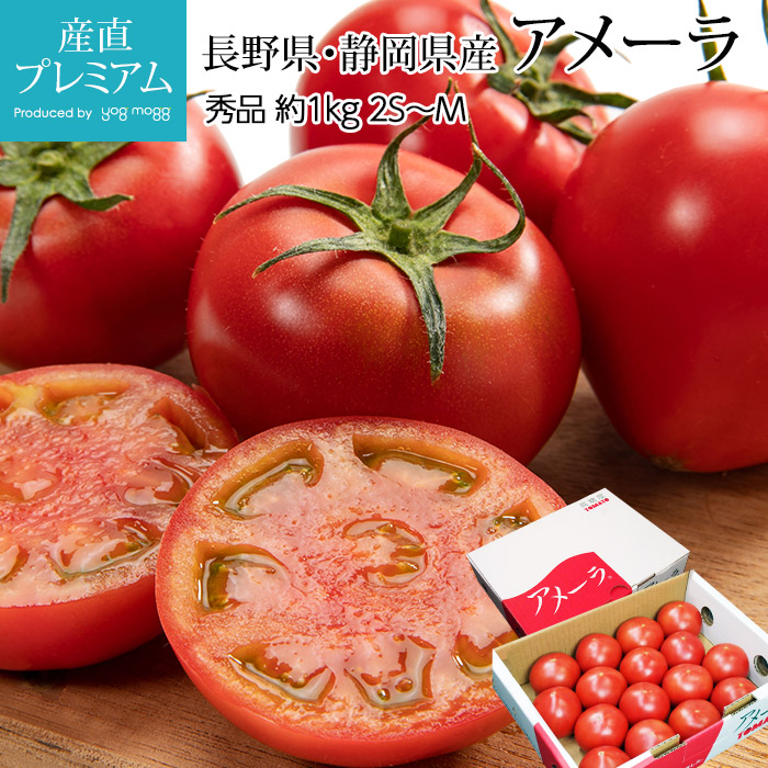 トマト 高糖度フルーツトマト アメーラ 秀品 約1kg 2S～Mサイズ 12～20 