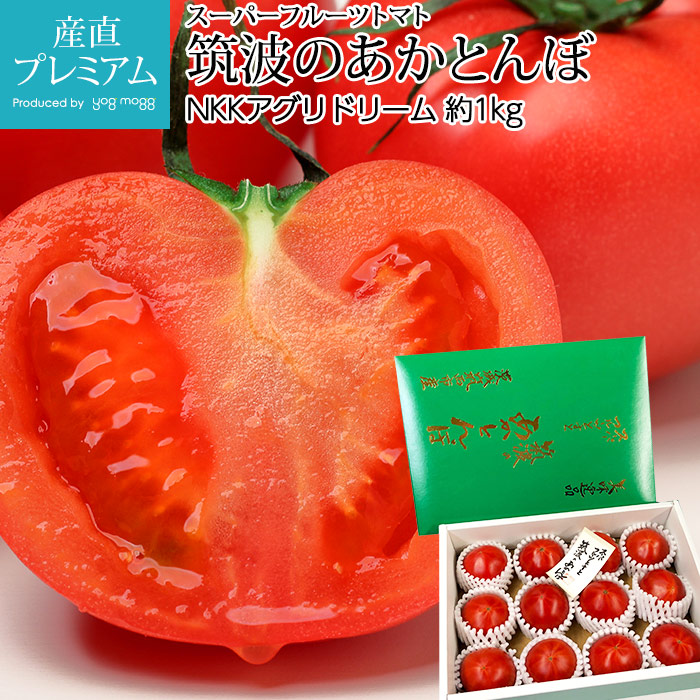 高糖度フルーツトマト スーパーフルーツトマト 筑波のあかとんぼ 約1kg 