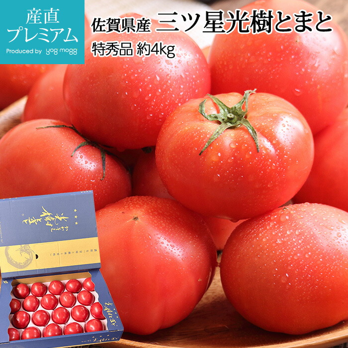 とまと 高糖度フルーツトマト スーパーフルーツトマト A品 約1kg 8～16玉 茨城