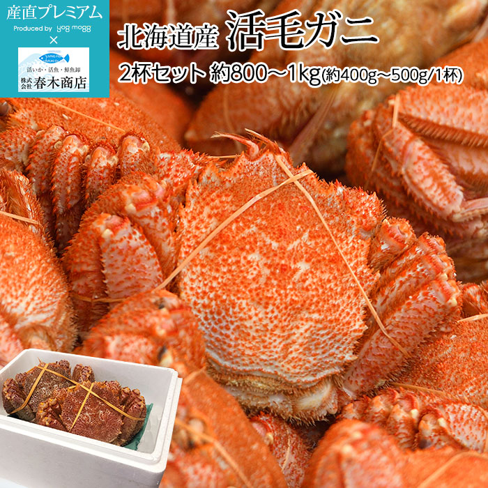 かに 活毛ガニ 2杯セット 約800g 1kg 約400g 500g 1杯 北海道産 春木商店 送料無料 Br 蟹 カニ 毛かに 毛蟹 海鮮 セット 北海道 贈答用 プレゼント 内祝い 産直プレミアム 高級フルーツ 高級果物 の通販なら旬のものを厳選する専門通販 産直プレミアム