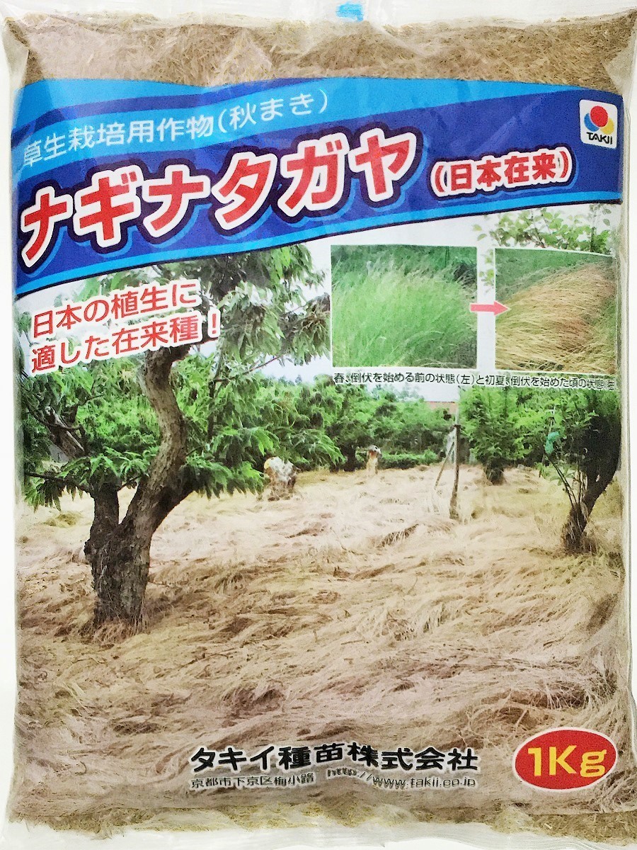 楽天市場】ネグサレタイジ アウェナストリゴサ（えん麦野生種）種子 １kg タキイ種苗 緑肥の種 : タネの問屋さん養本社