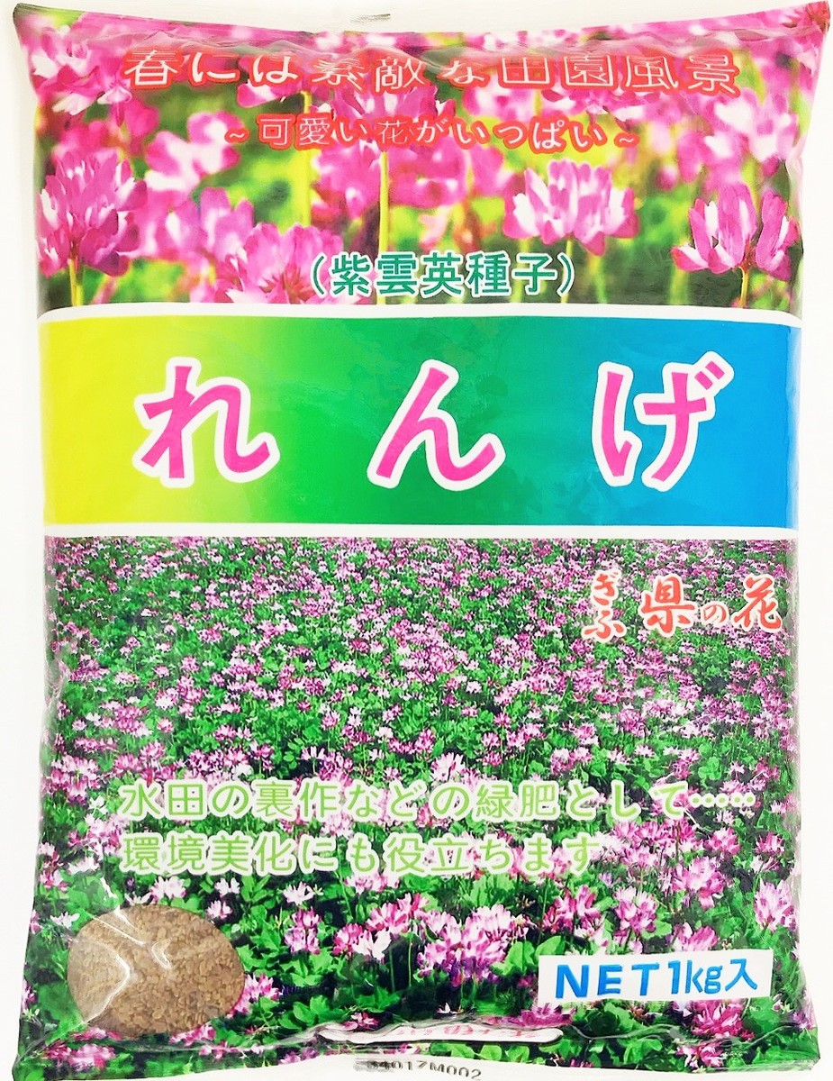 本物 れんげの種 花の種 種子 レンゲ草 レンゲの種 1ｋｇ×20袋セット