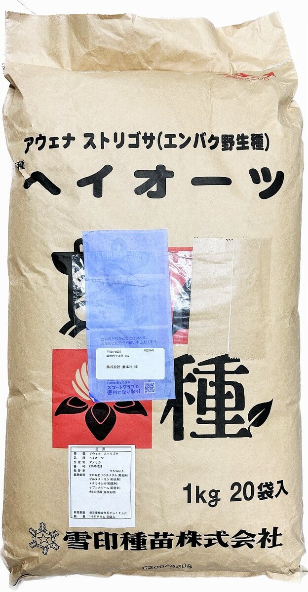 ヘイオーツ(エンバク野生種) アウェナストリゴサ種子 20kg原袋(1kg×20袋)|タネの問屋さん養本社