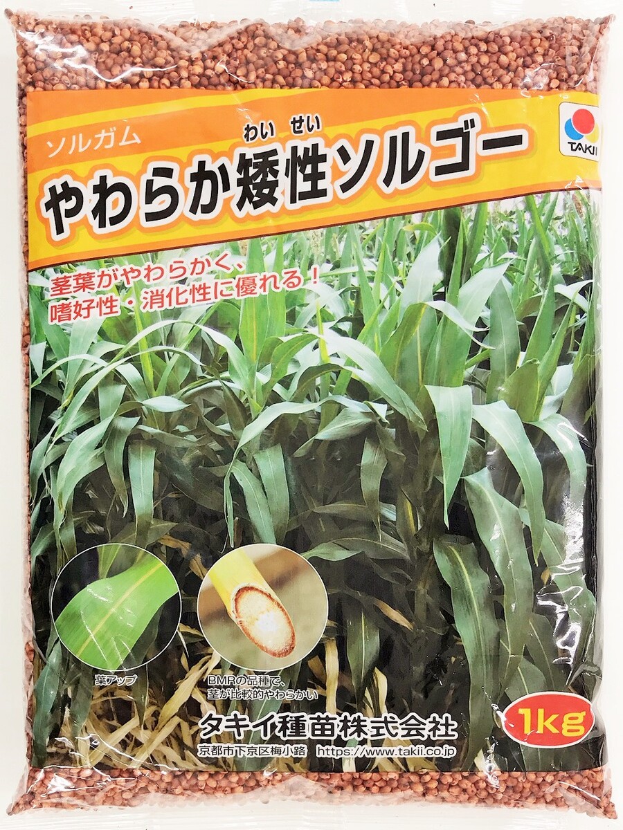 ソルガム種子 やわらか矮性ソルゴー 10kg(1kg×10袋)タキイ種苗|タネの問屋さん養本社