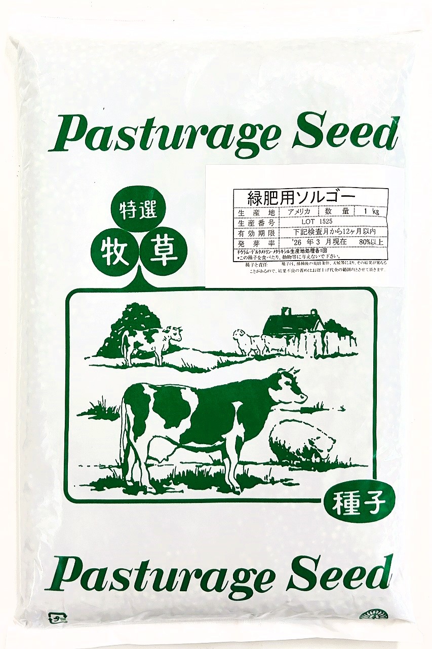 ソルガム種子　緑肥用ソルゴー1kg～22.5kg原袋｜タネの問屋さん養本社