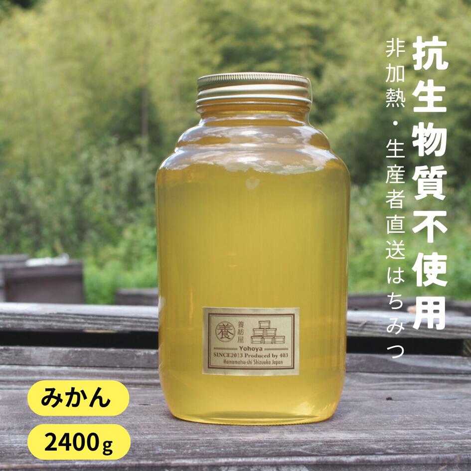 【2025年新蜜】国産 生はちみつ 無添加 [ みかん蜜 2400g ガラス瓶 ] 抗生物質不使用 非加熱はちみつ 生産者直送 一升瓶 静岡県 大容量 業務用 送料無料 2.4kg 1kg 以上