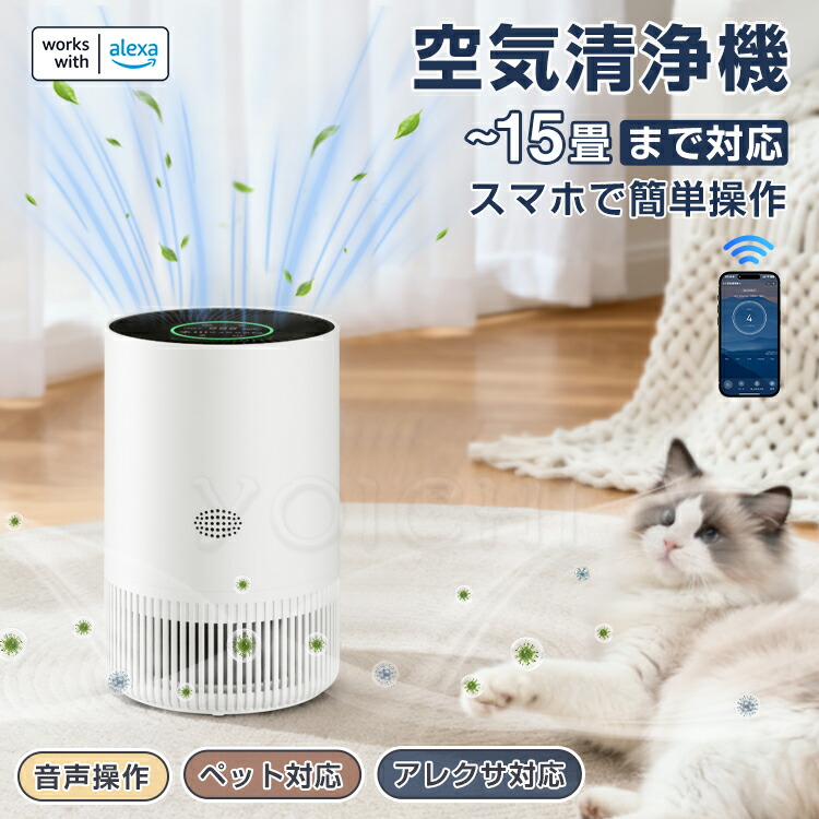 百貨店大売り出し排他的権利！お見逃せないで！