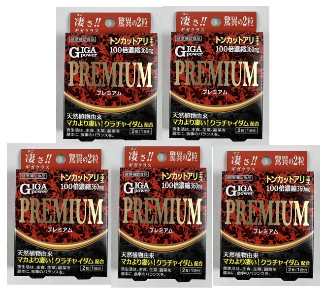 【×5箱　メール便送料込】【メイクトモロー】ギガパワープレミアム 2粒(1回分)