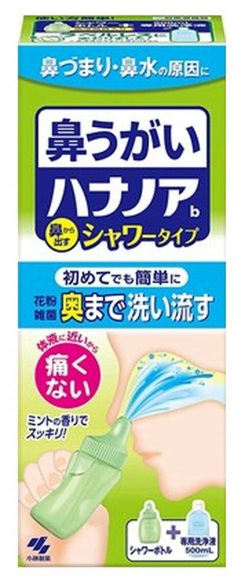 市場 ×6本セット送料込 500ml シャワータイプ 鼻うがい 小林製薬 ハナノア