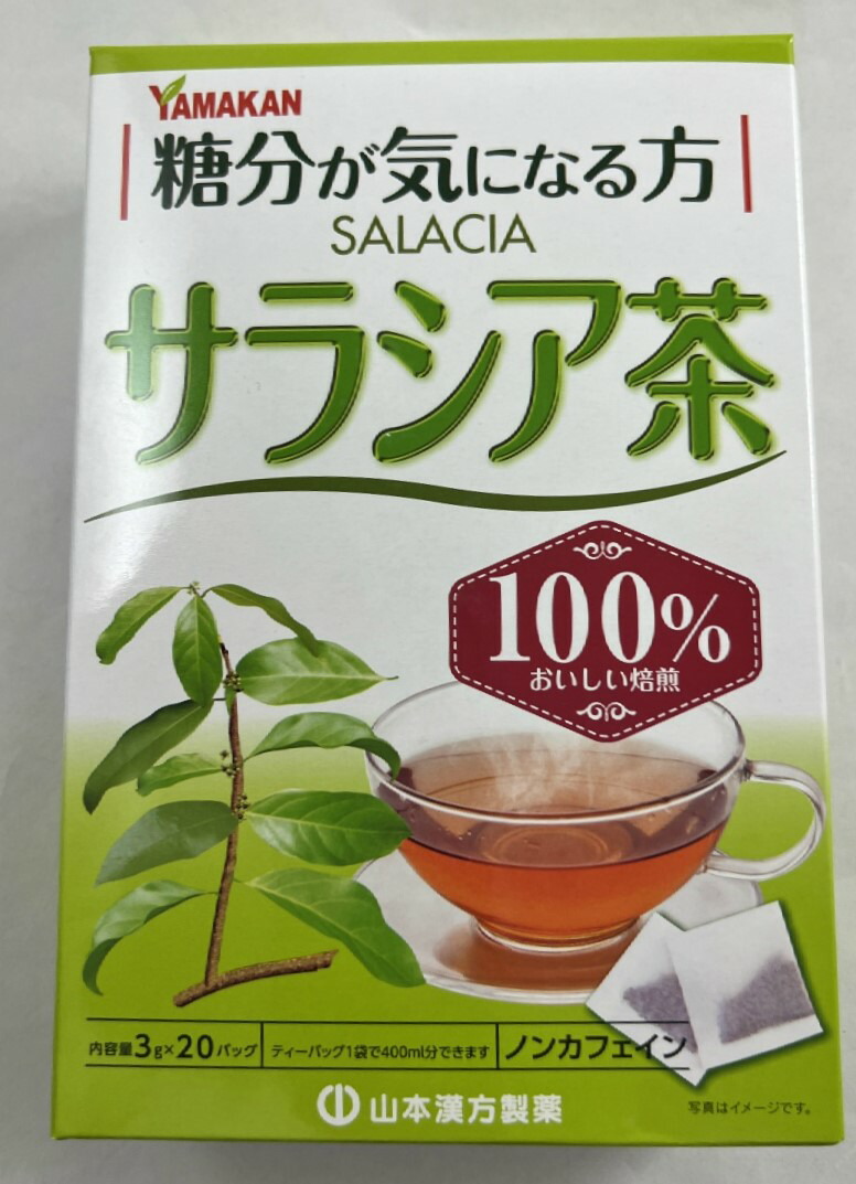 市場 送料込 3g×20包入 山本漢方製薬 糖分が気になる方へ サラシア茶100％ 1箱