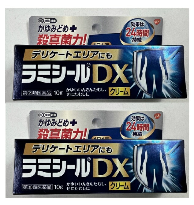 市場 ×2本セット送料込 第 10g 2 類医薬品 ラミシールDX