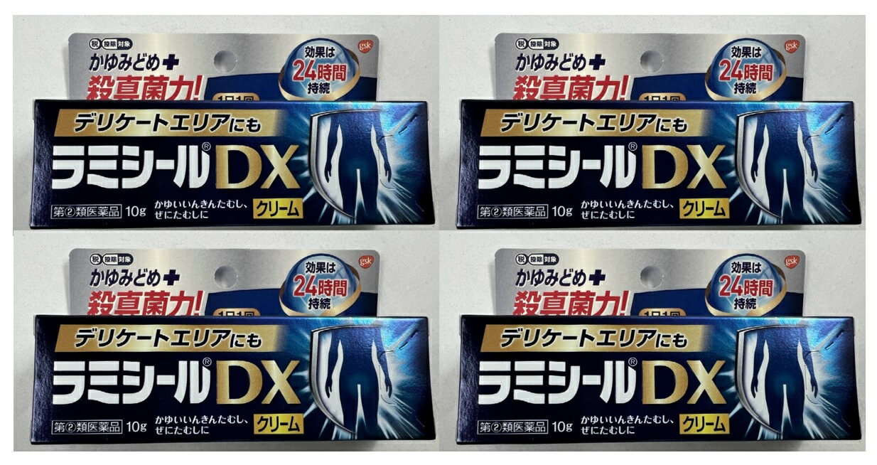 市場 ×4本セット送料込 2 類医薬品 ラミシールDX 第 10g