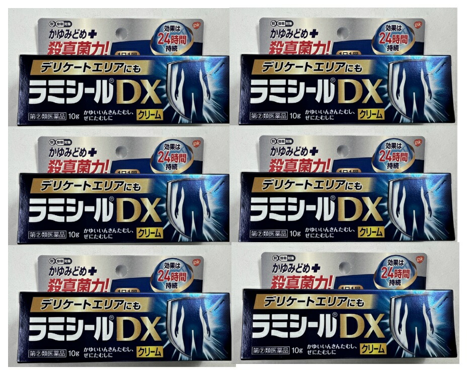 市場 ×6本セット送料込 10g 第 2 ラミシールDX 類医薬品